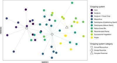 Bioenergy cropping systems shape ant community composition and functional roles